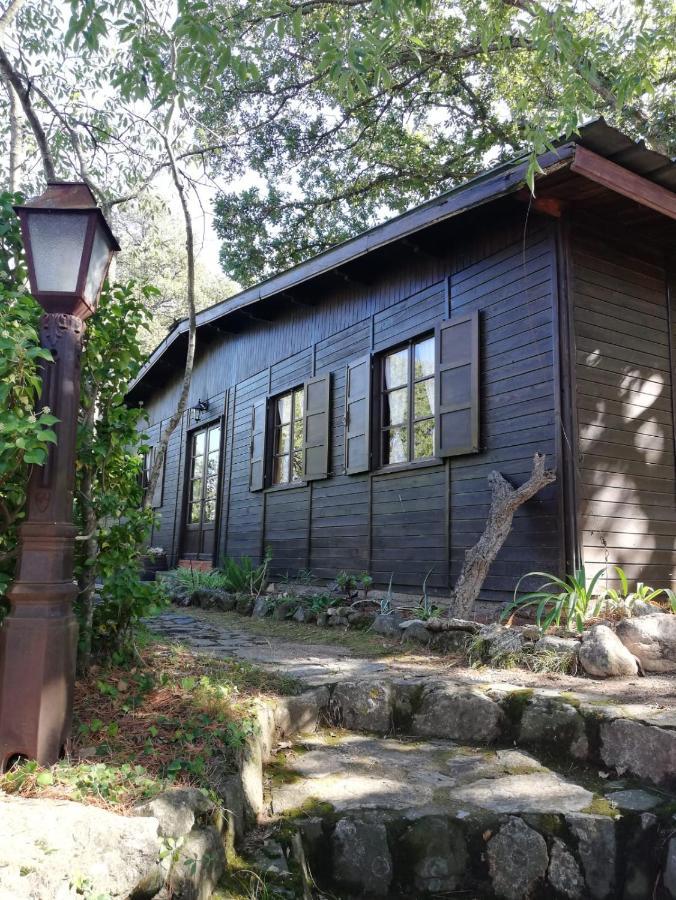 Mas Senyarich Vila Argelès-sur-Mer Exterior foto