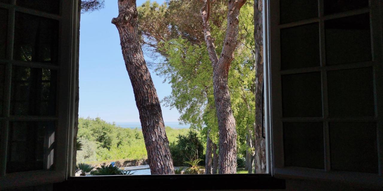 Mas Senyarich Vila Argelès-sur-Mer Exterior foto
