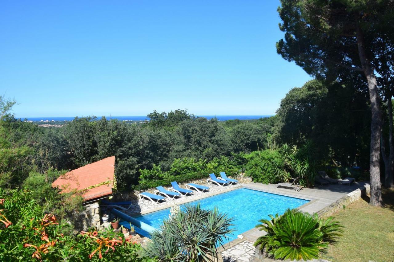 Mas Senyarich Vila Argelès-sur-Mer Exterior foto